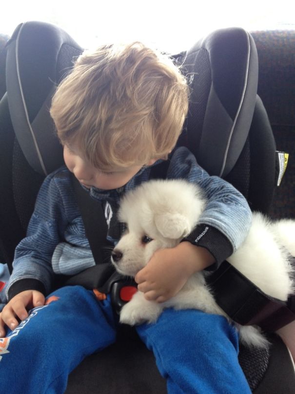 a young boy sitting in a car seat holding a white and black puppy