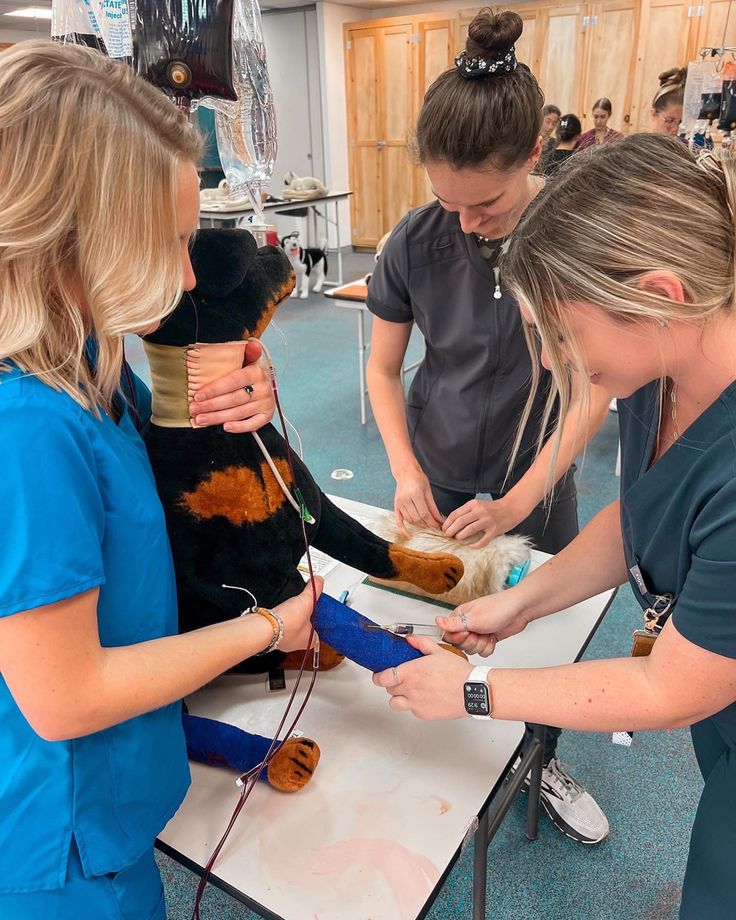 three women in scrubs are looking at something on a table with a stuffed animal