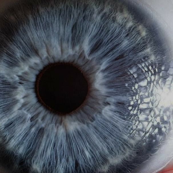 an extreme close up shot of the iris of a human eye