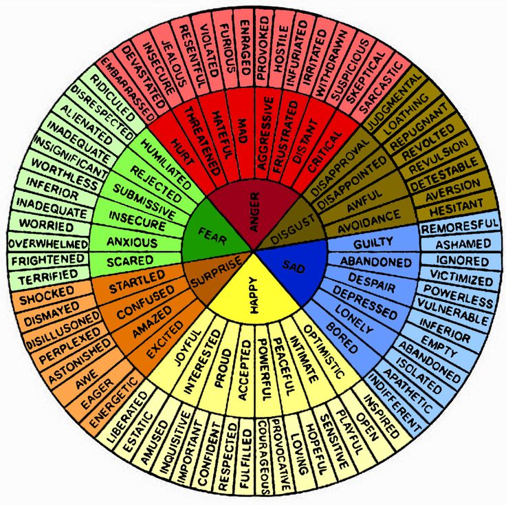 a colorful wheel with different words in the center and numbers on each side, including names