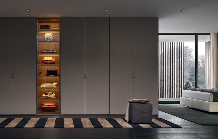 a modern bedroom with large closets and an area rug on the floor in front of it