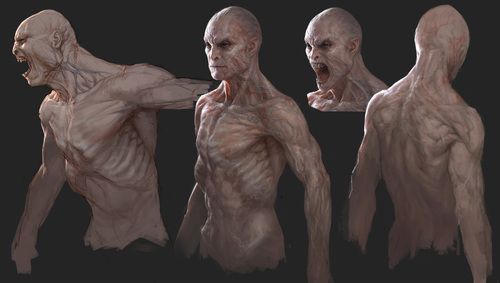 an artist's rendering of the human body in various stages of development, from front to back