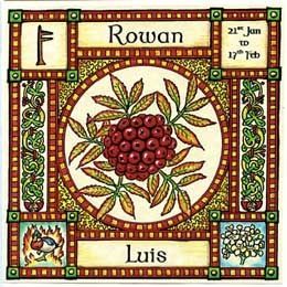 a cross stitch pattern with the names of rowan and lutis in each corner, surrounded by leaves