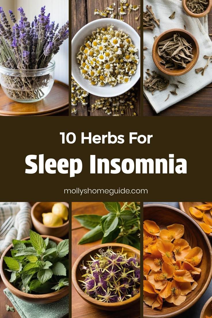 the top ten herbs for sleep insomnia, including lavenders and other herbs