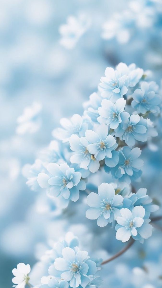 blue flowers are in the foreground and blurry background