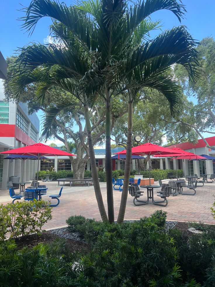 several tables and chairs with umbrellas in the middle of a courtyard area near trees