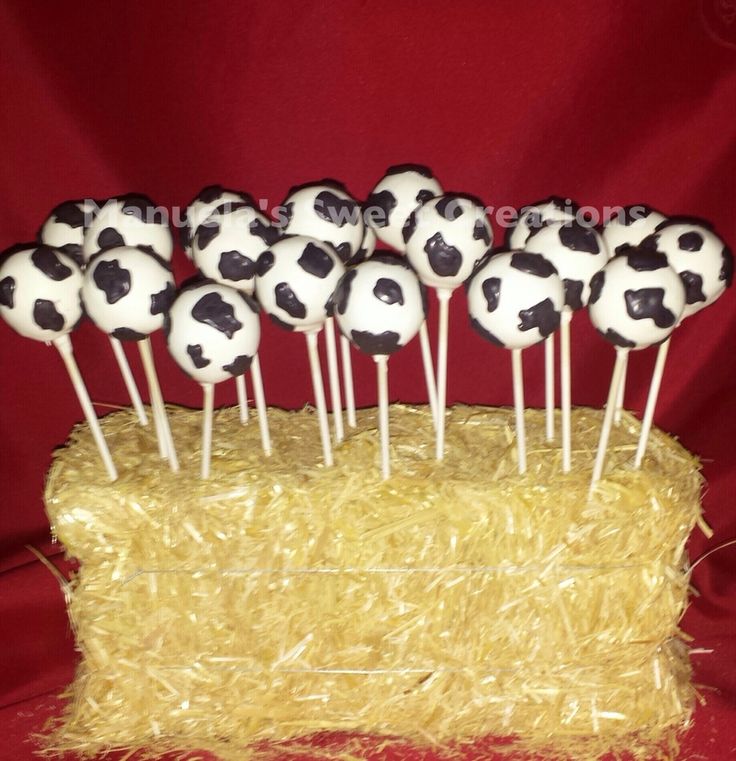 cake pops with black and white cow print on them sitting in hay bales, ready to be eaten