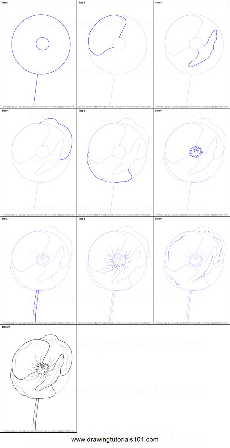 how to draw flowers step by step