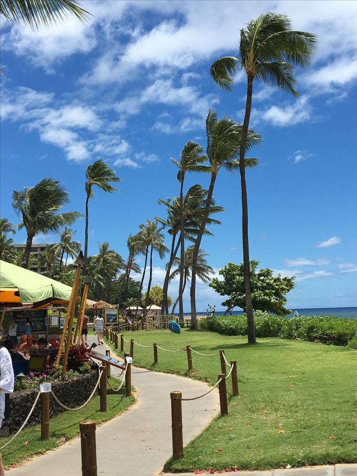 people are walking down a path near the beach with palm trees on either side and blue skies in the background