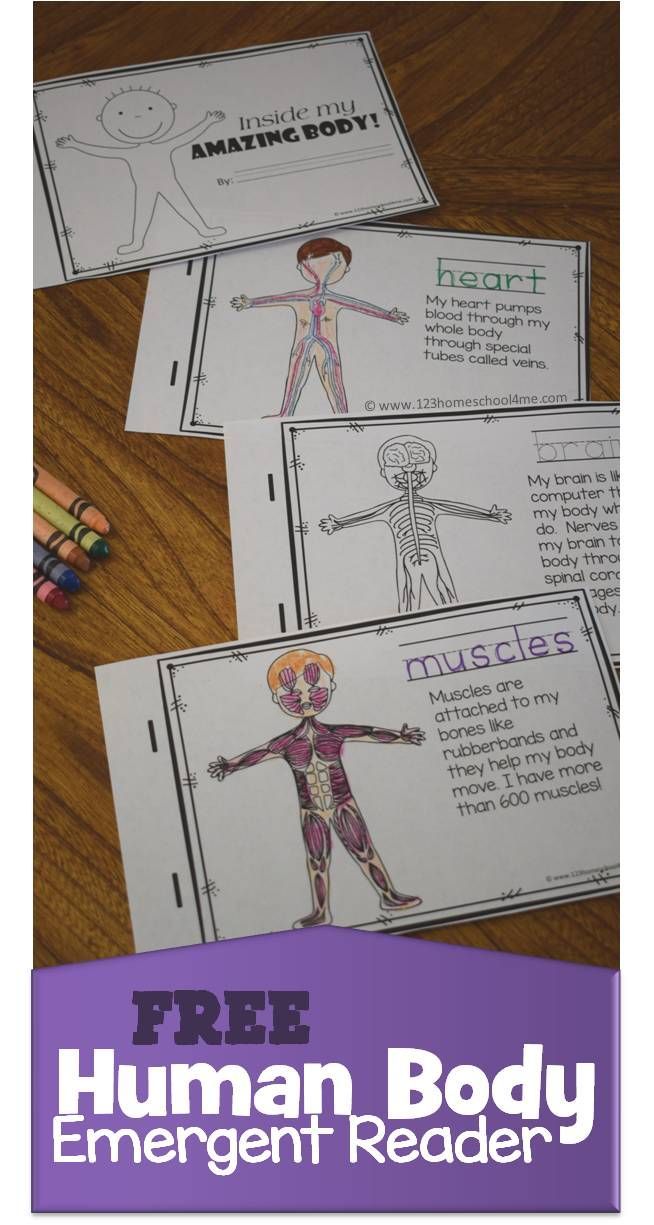 the book human body emergent reader with crayons