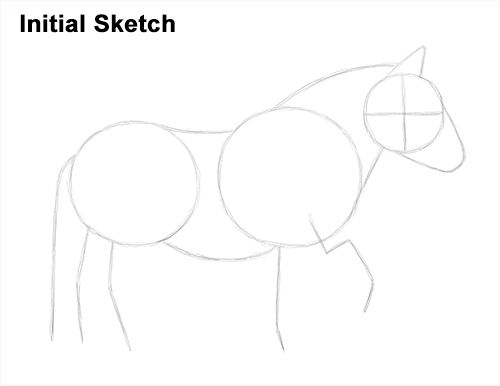 how to draw a horse step by step