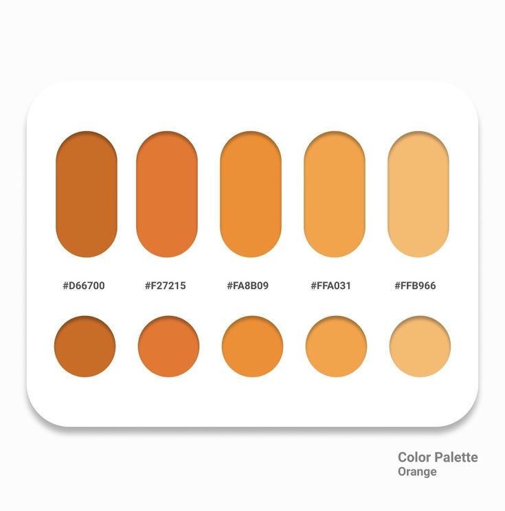 an orange palette with different shades