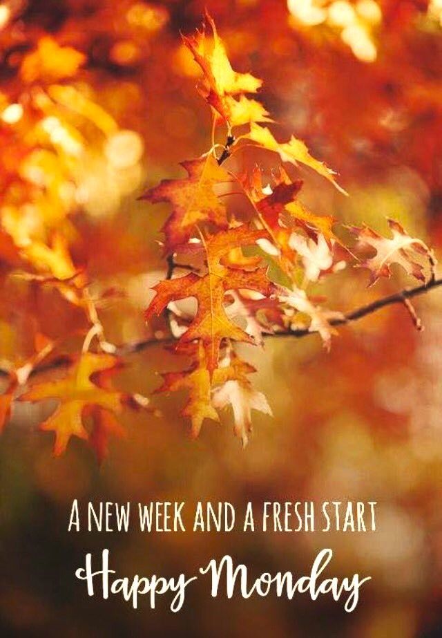 a new week and a fresh start happy monday