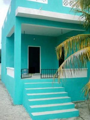 a blue house with stairs leading up to the front door and palm trees in front of it