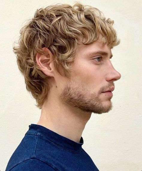 Platinum Blonde Hair Men Long, Troye Sivan Hair, Mod Cut Mens Straight, Short Curly Blonde Hair Men, Mens Blonde Haircut, Wavy Mullet Men, Mens 70s Hair, Dark Blonde Hair Men, Curly Mod Cut