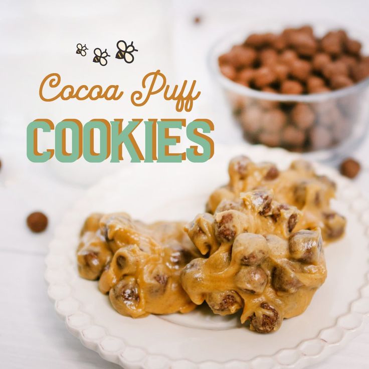 chocolate puffy cookies on a white plate with dog food in the background and text overlay