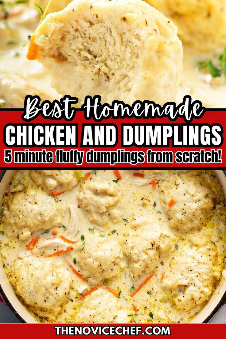 the best homemade chicken and dumplings recipe is shown