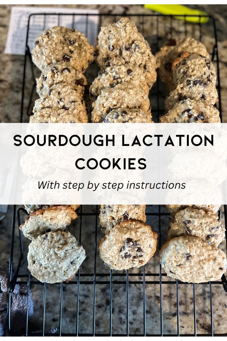 Brewers Yeast Cookies, Brewers Yeast Recipes Healthy, Sourdough Lactation Cookies, Sourdough Baby Snacks, Brewers Yeast Recipes Milk Supply, Oatmeal Lactation Cookies, Feeding Sourdough, Sourdough Oatmeal, Flax Seed Meal