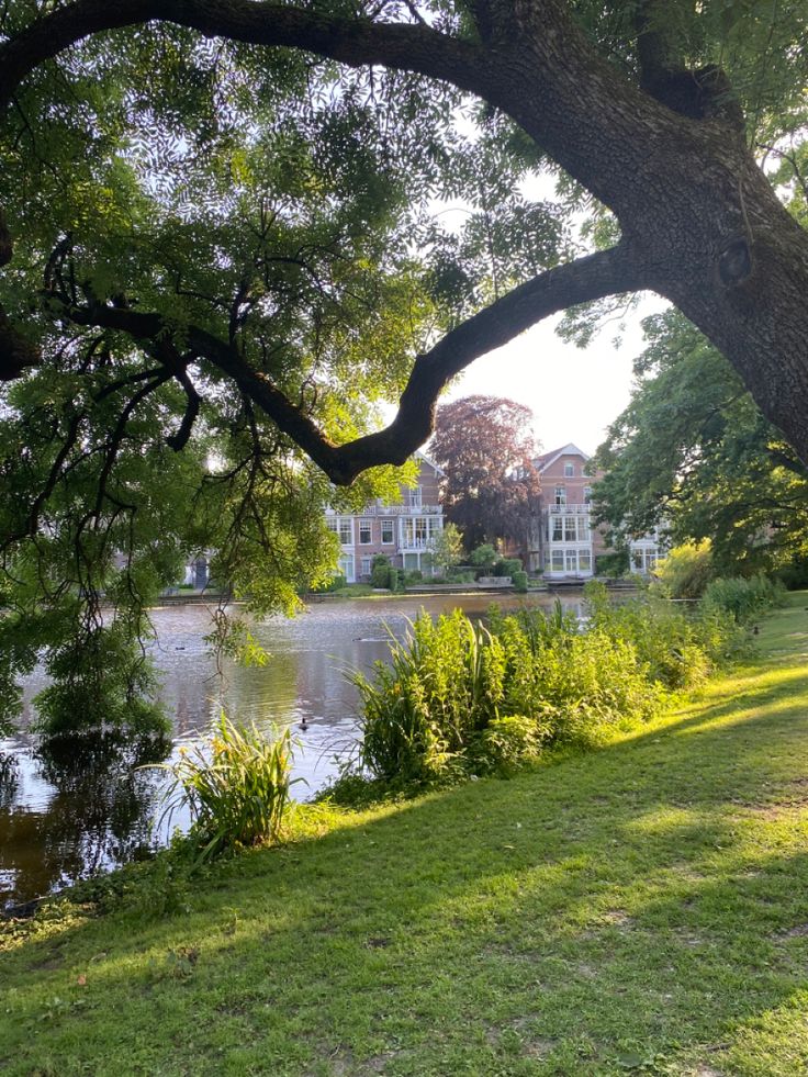 a park bench sitting next to a lake in front of a large white house and trees