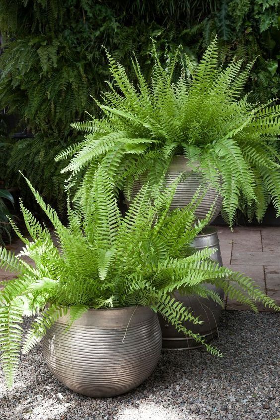 two metal planters sitting next to each other