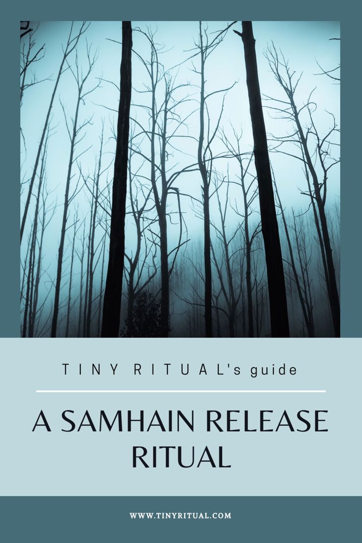 the cover of a book with trees in the background and text that reads, tiny ritual guide