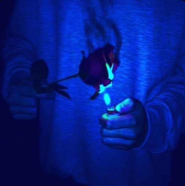 a person holding a flower in their hand with blue light shining on the flowers behind them