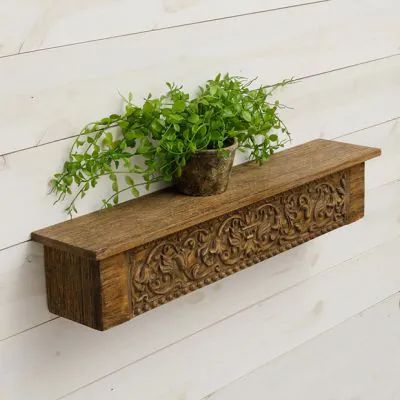 a potted plant sitting on top of a wooden shelf next to a white wall