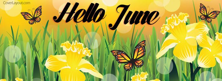 a field with yellow flowers and butterflies in the grass that says hello june on it