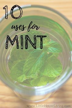 mint leaves in a glass jar with the words 10 uses for mint