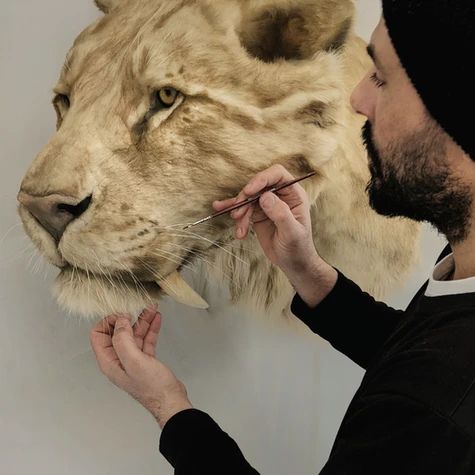 a man with a beard trimming the face of a white lion mask on his head