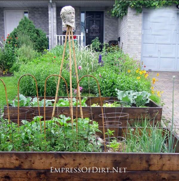 a garden filled with lots of different types of plants