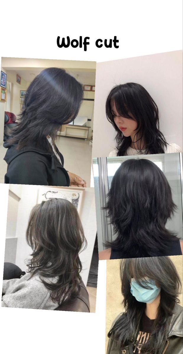 Wolfcut In Ponytail, Mid Length Wolf Cut Straight Hair, Medium Length Hair Wolfcut, Wolf Cut Short Women, Wolfcut Long Hair Straight, Wolf Cut Asian Girl, Haïr Cut Ideas For Straight Hair, Wolf Cut With Straight Hair, How To Style Medium Layered Hair