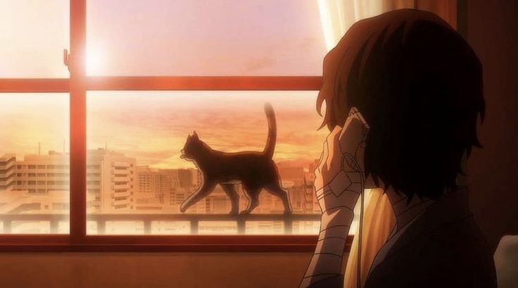 a woman looking out the window at a cat walking in front of her, with cityscape behind her