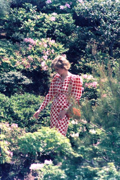 a woman in a red and white dress walking through some bushes