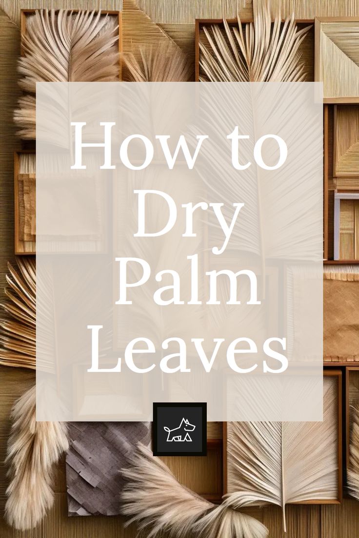 the words how to dry palm leaves in white overlaid with an image of books