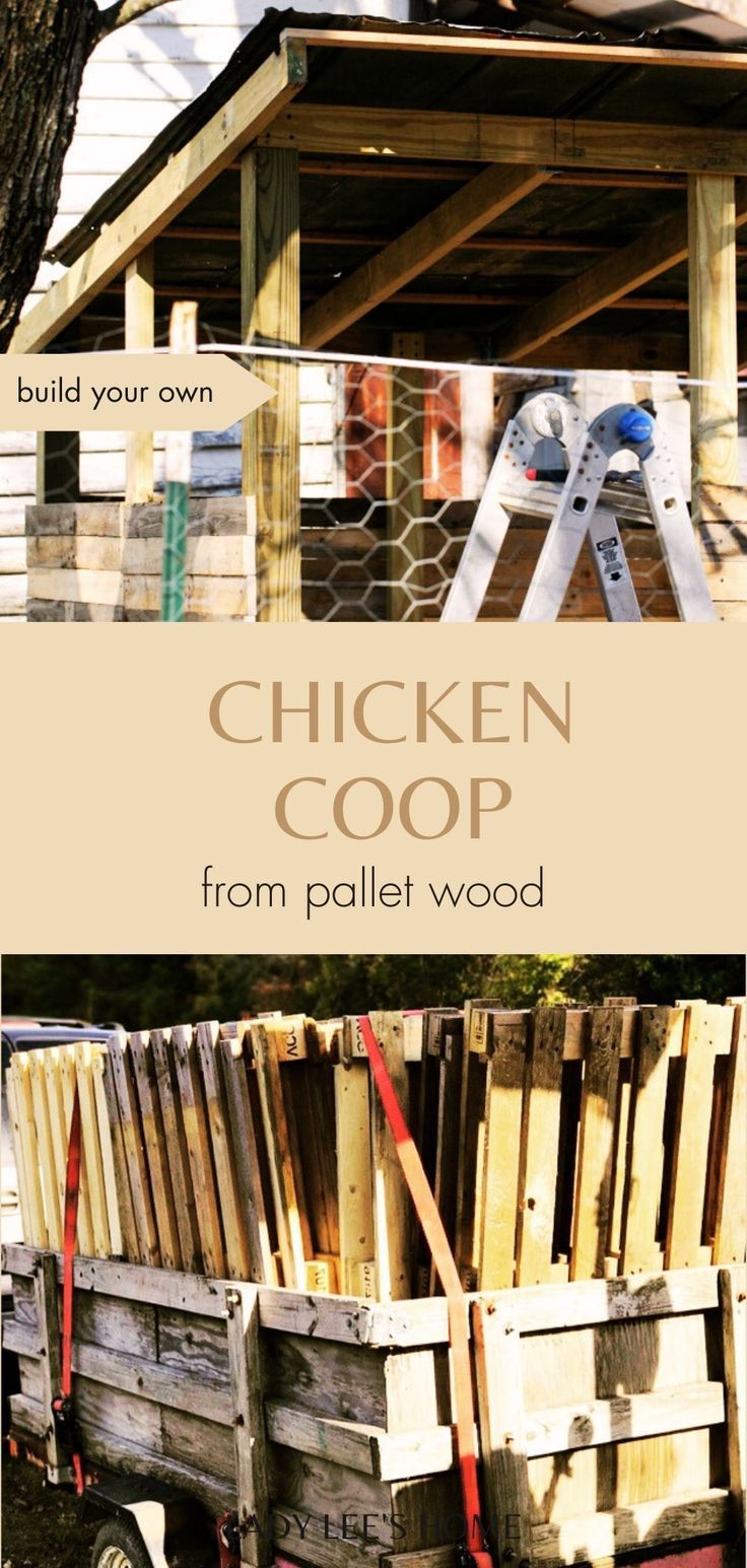 chicken coop from pallet wood with text overlay that reads build your own chicken coop