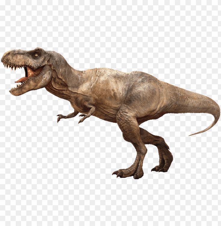 an image of a t - rex dinosaur with its mouth open