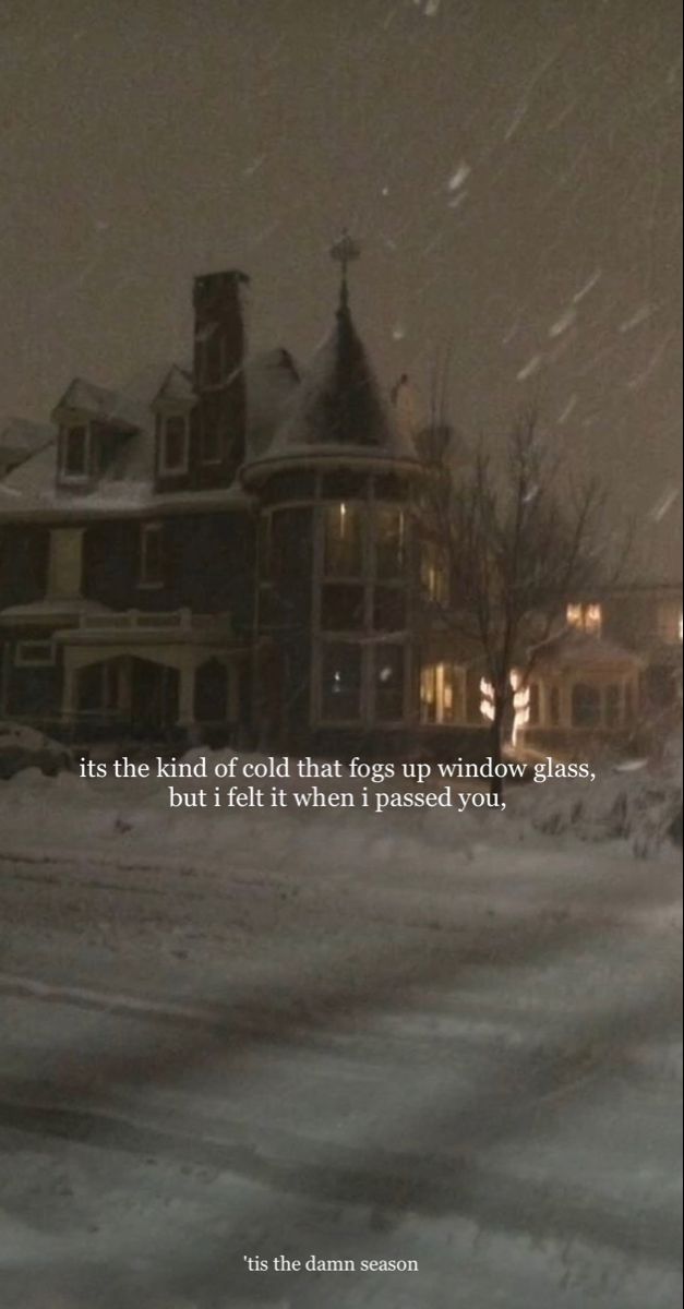 an image of a house in the snow with a quote on it that reads, its the kind of christmas for everyone who has lived there