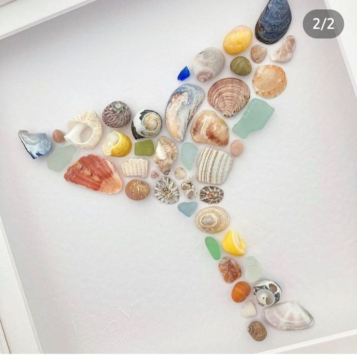 there are many different seashells arranged in the shape of a bird