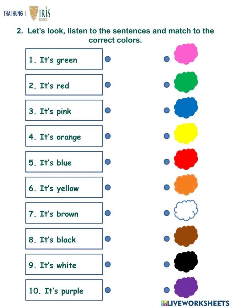 the color scheme for this worksheet shows different colors