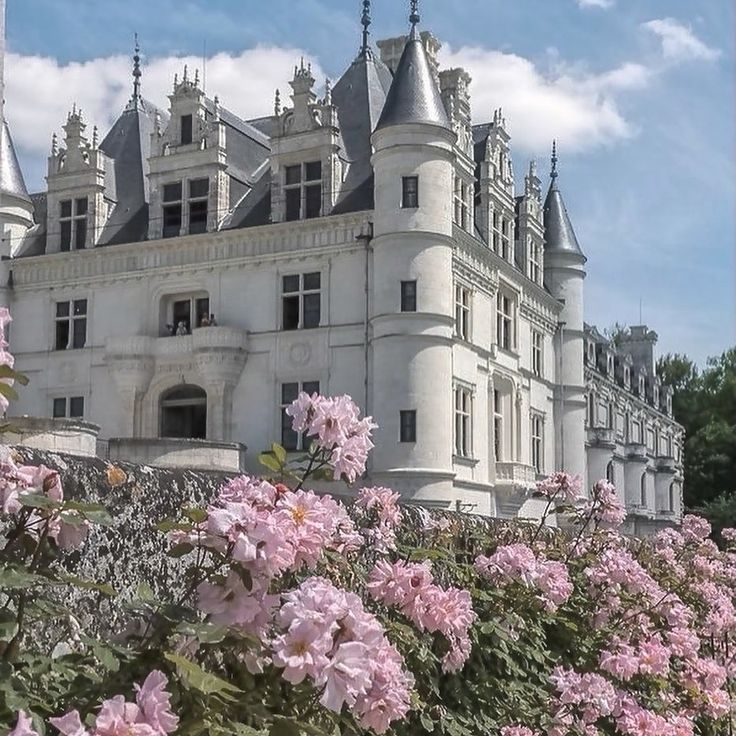 a large white building surrounded by pink flowers