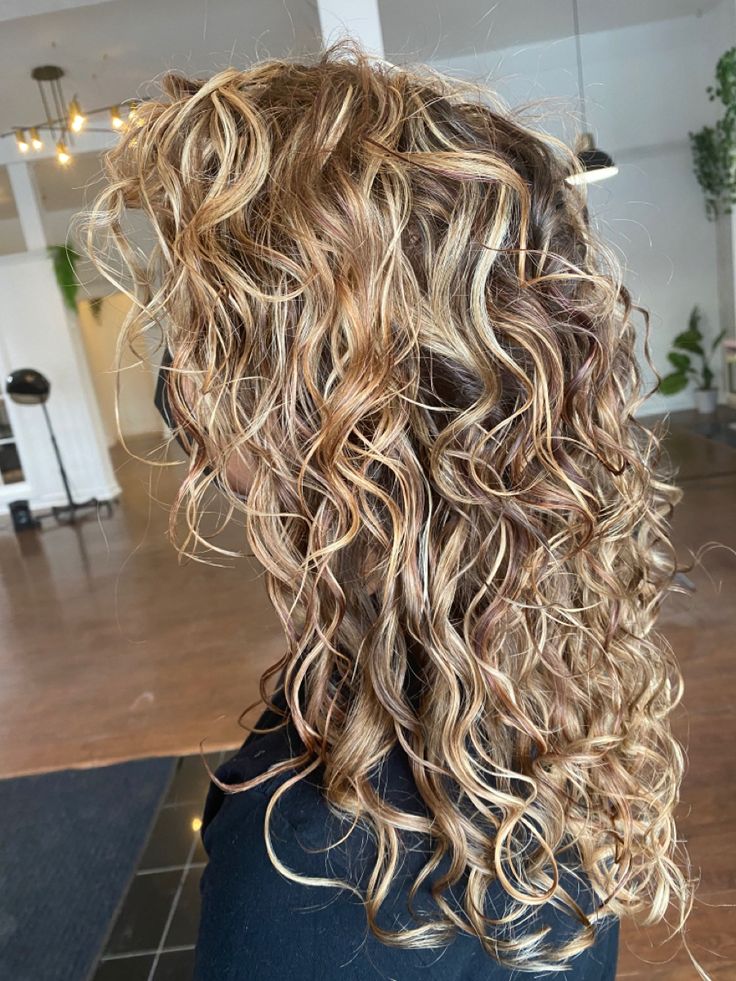 Low Lights For Blonde Hair Curly, Pintura Highlights Curly Blonde, Half Highlights Brown Hair, Blonde And Copper Highlights, Pintura Highlights Curly, Curly Hair Highlights And Lowlights, Blonde And Copper, Blonde Curly Hair Natural, Blond Curls