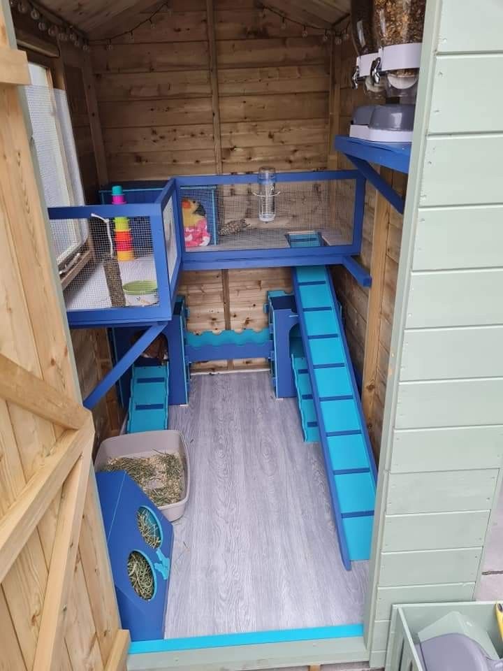 the inside of a storage shed with blue shelves