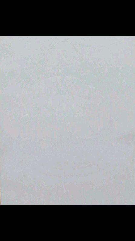 two people are flying kites in the sky on a foggy day with no clouds