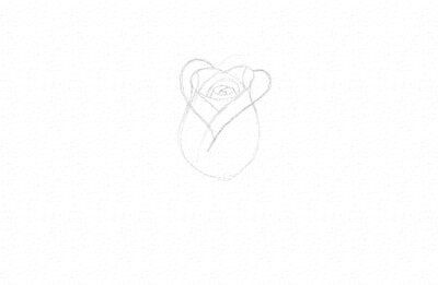 a drawing of a bear's head with the tail curled up and eyes closed