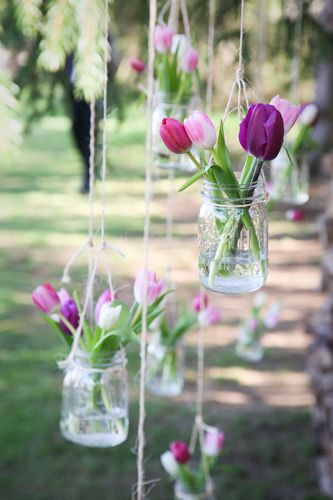 hanging mason jars filled with pink and purple tulips