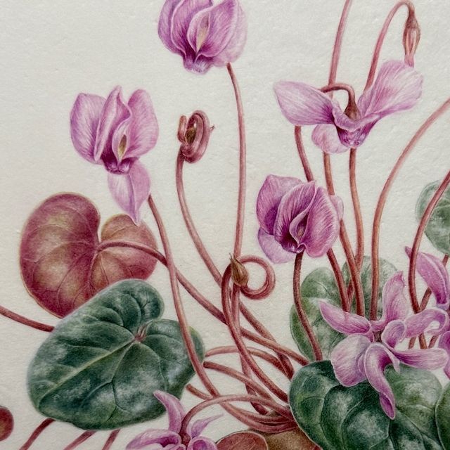 a painting of purple flowers and green leaves