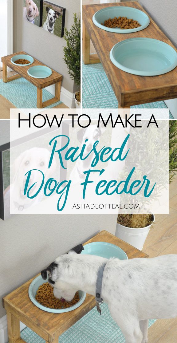 how to make a raised dog feeder