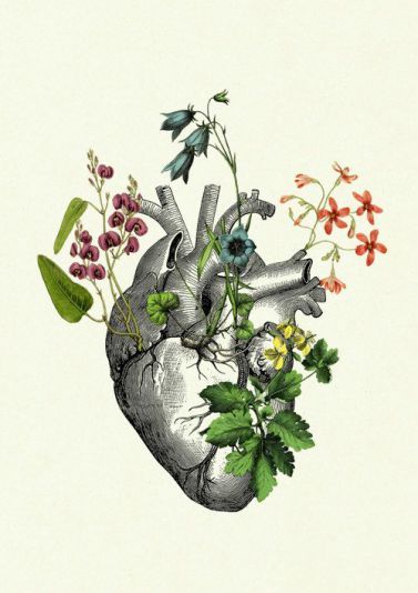 a drawing of a human heart with flowers and birds