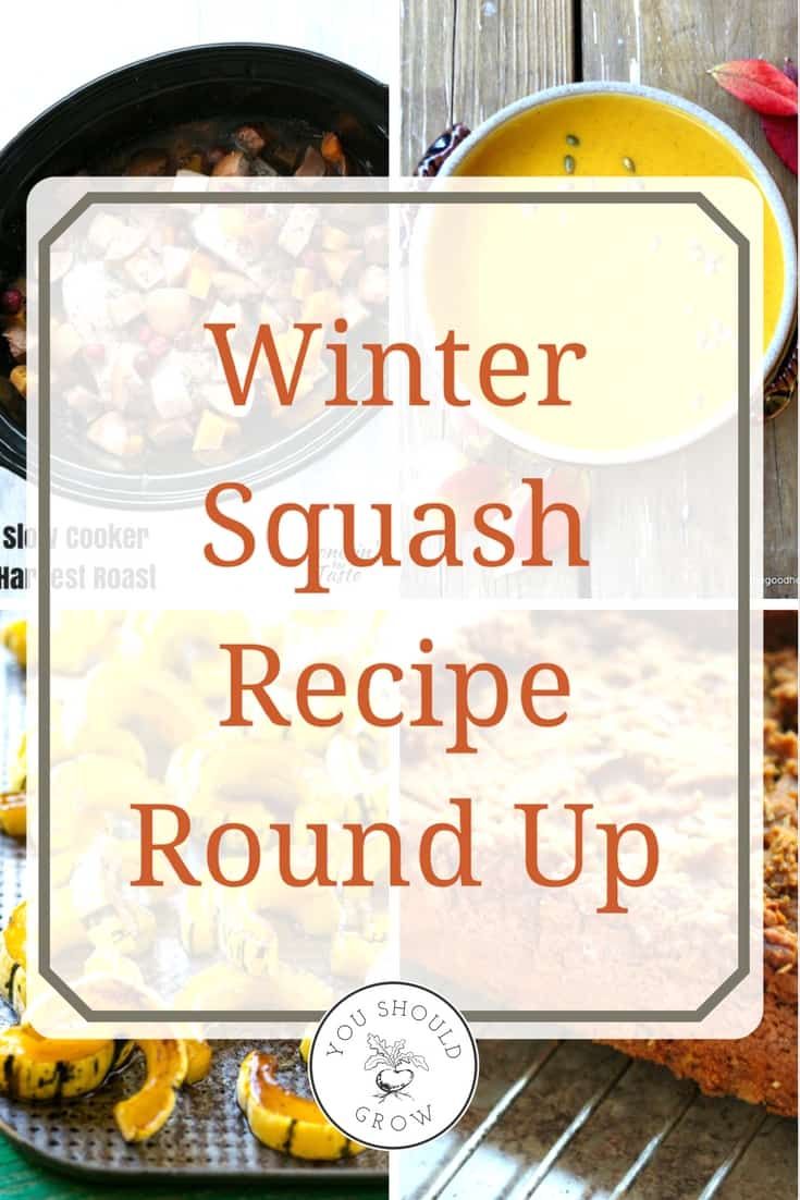 winter squash recipe round up with text overlay